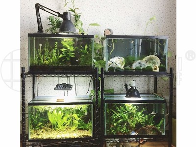 魚(yú)缸展示架子魚(yú)缸儲(chǔ)物架觀光線網(wǎng)架子